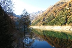 IMG_0014