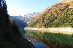 IMG_0017