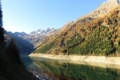 IMG_0020
