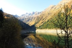 IMG_0021