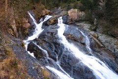 IMG_0029