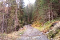 IMG_0032