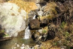 IMG_0036