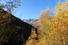 IMG_0038