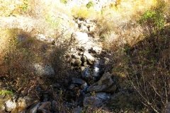 IMG_0041
