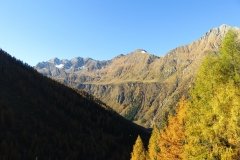 IMG_0045