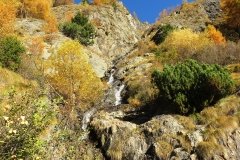 IMG_0049