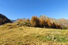 IMG_0053