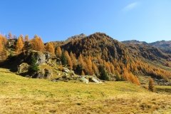 IMG_0057