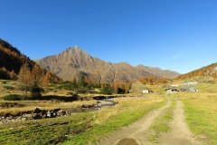 IMG_0063