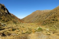 IMG_0065