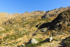 IMG_0070