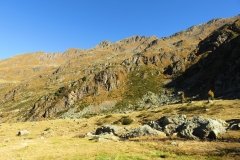 IMG_0082