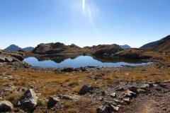 IMG_0134