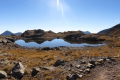 IMG_0135