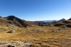 IMG_0140