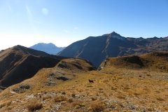 IMG_0147