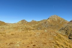 IMG_0155