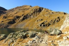 IMG_0178