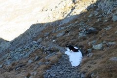 IMG_0195