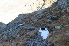 IMG_0196