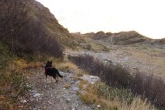 IMG_0202