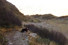 IMG_0207