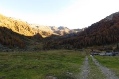 IMG_0237