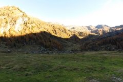 IMG_0239