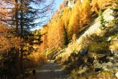 IMG_0248