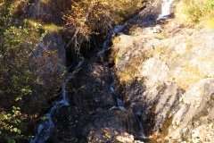 IMG_0249