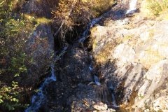 IMG_0251