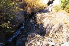 IMG_0252
