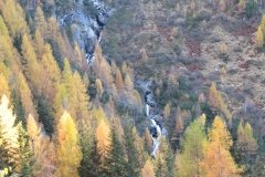 IMG_0254