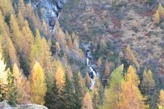 IMG_0256