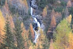 IMG_0259