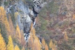 IMG_0260