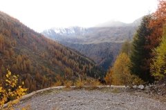 IMG_0263