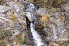 IMG_0267
