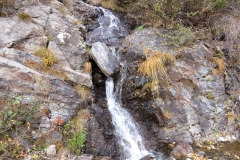 IMG_0267