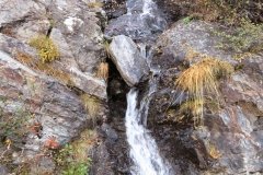 IMG_0270