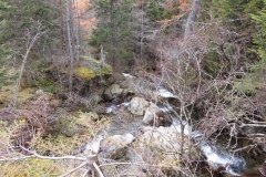 IMG_0275
