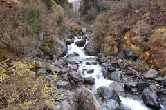 IMG_0281