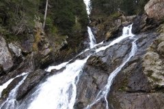 IMG_0290