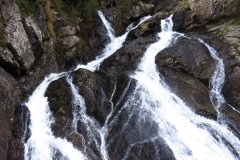 IMG_0294
