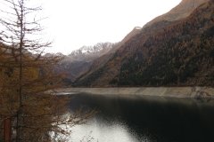 IMG_0298