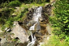 IMG_0003