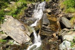IMG_0009