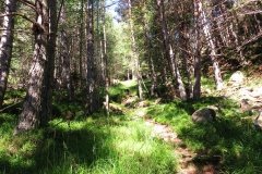 IMG_0018