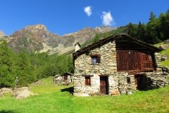 IMG_0020